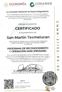San Mart&iacute;n Texmelucan