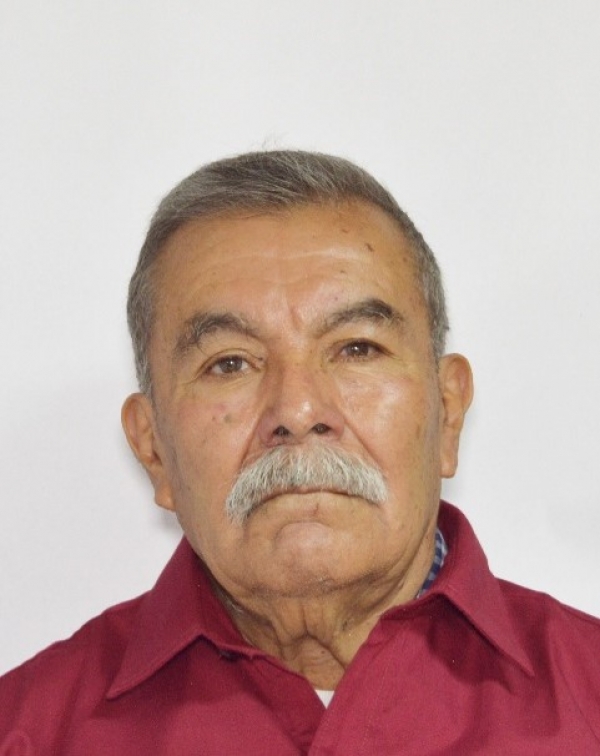 Fernando Flores Luna